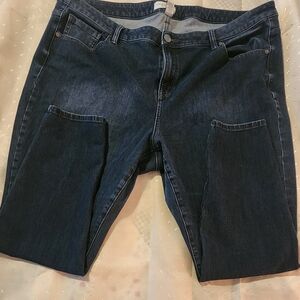 Lane Bryant Dark Indigo Women's Jeggings